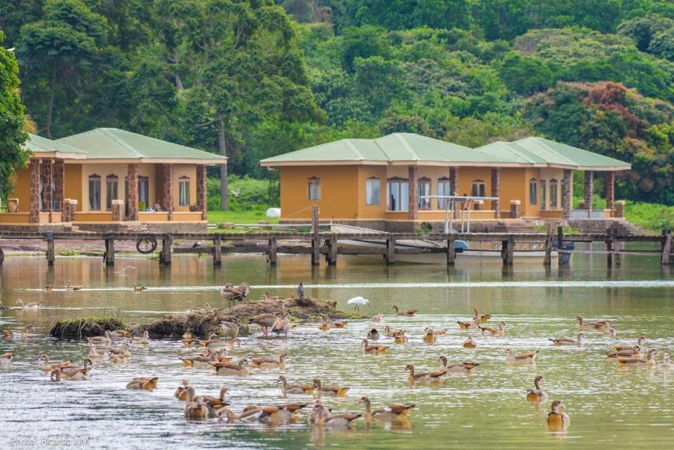 Pineapplebayresort Bulago Island Eksteriør billede