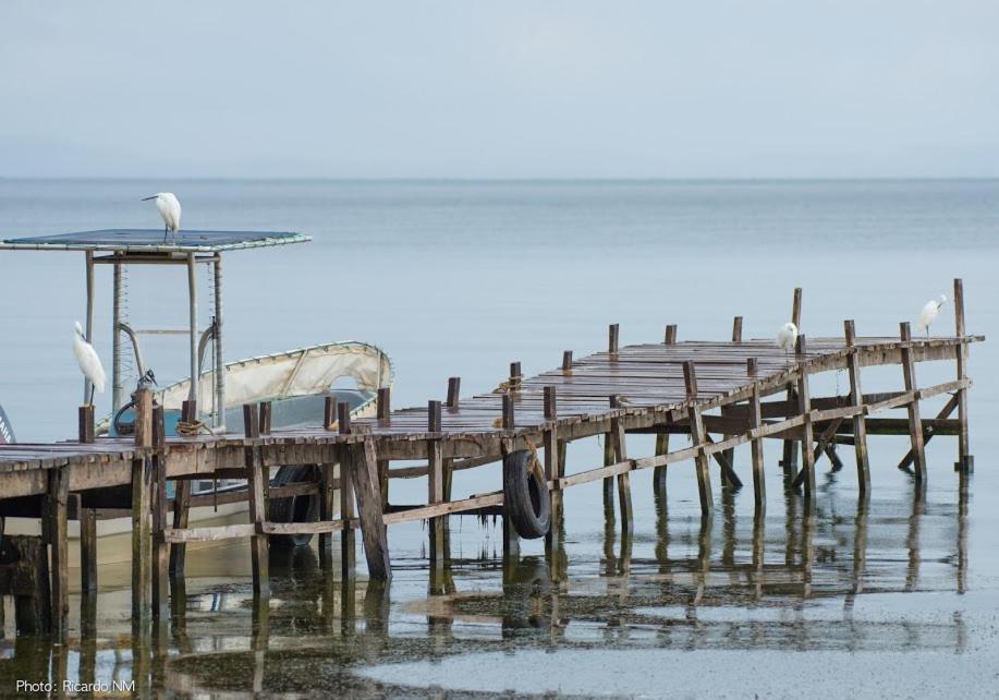 Pineapplebayresort Bulago Island Eksteriør billede